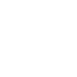 The Swan, New Street, Worcester